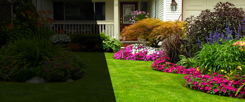 Redmond Landscapers
